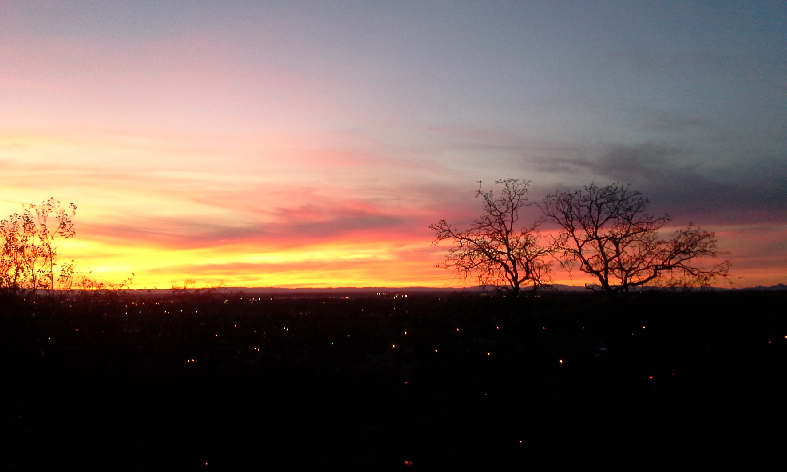 A Woman's View - Lenore Buth